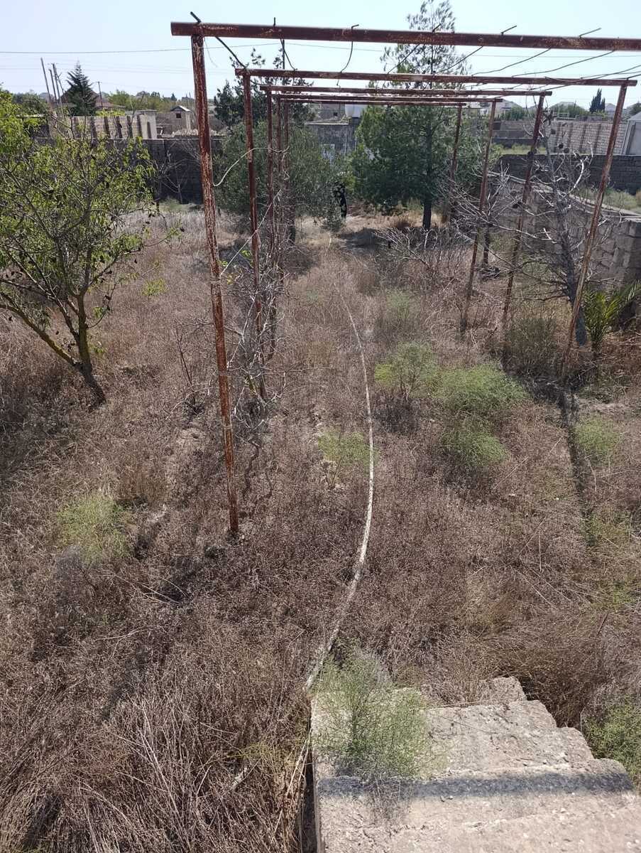 Torpaq Türkan q., Bakı