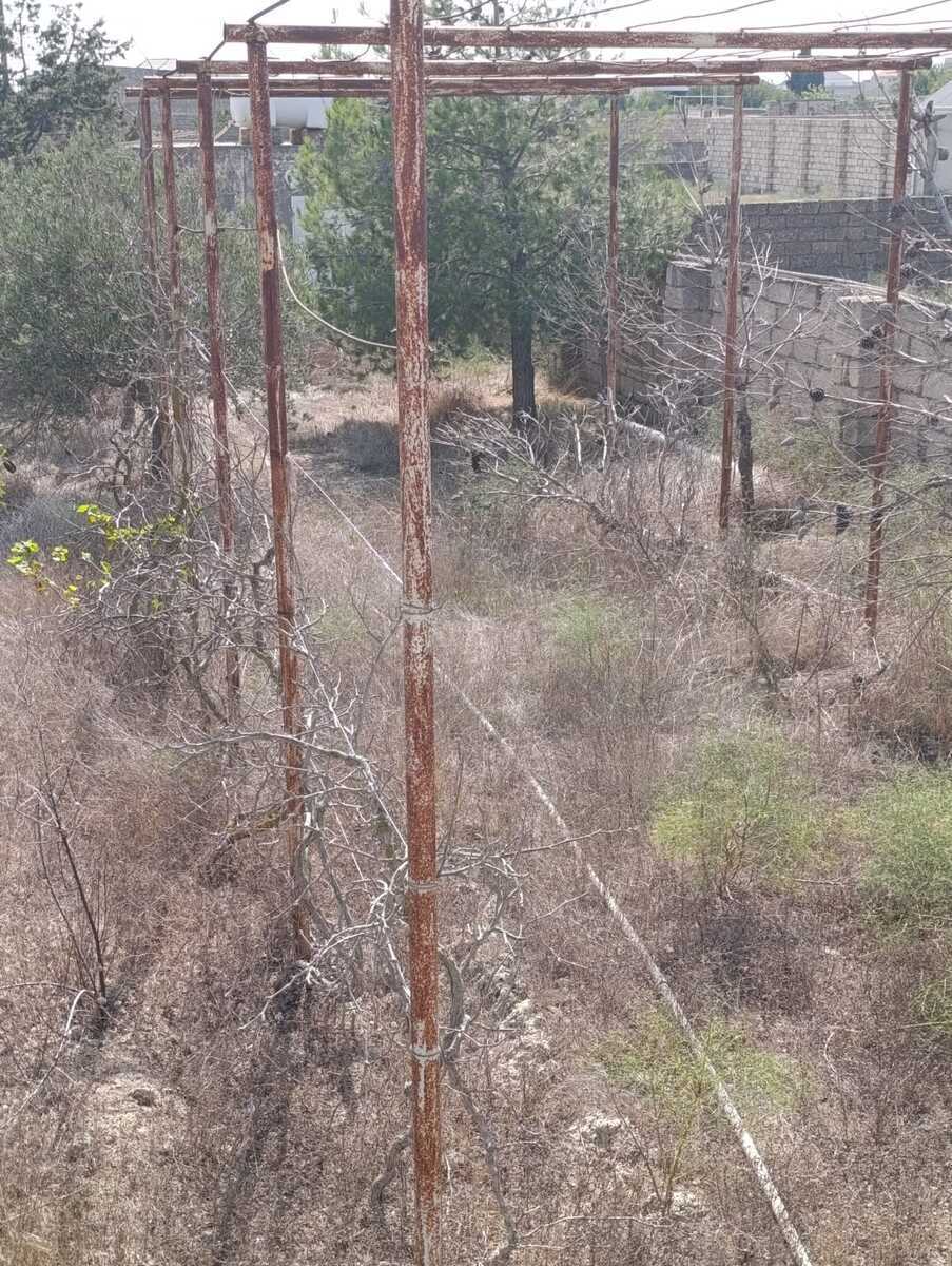 Torpaq Türkan q., Bakı