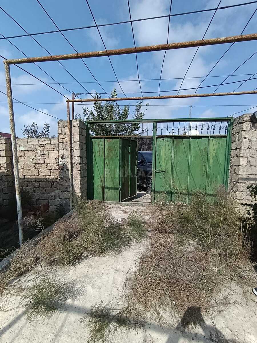 Torpaq Türkan q., Bakı