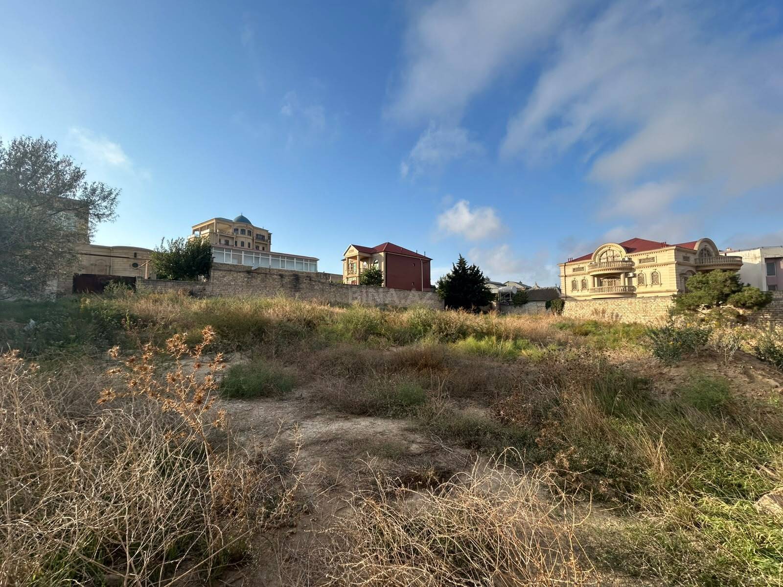 Torpaq Badamdar q., Bakı