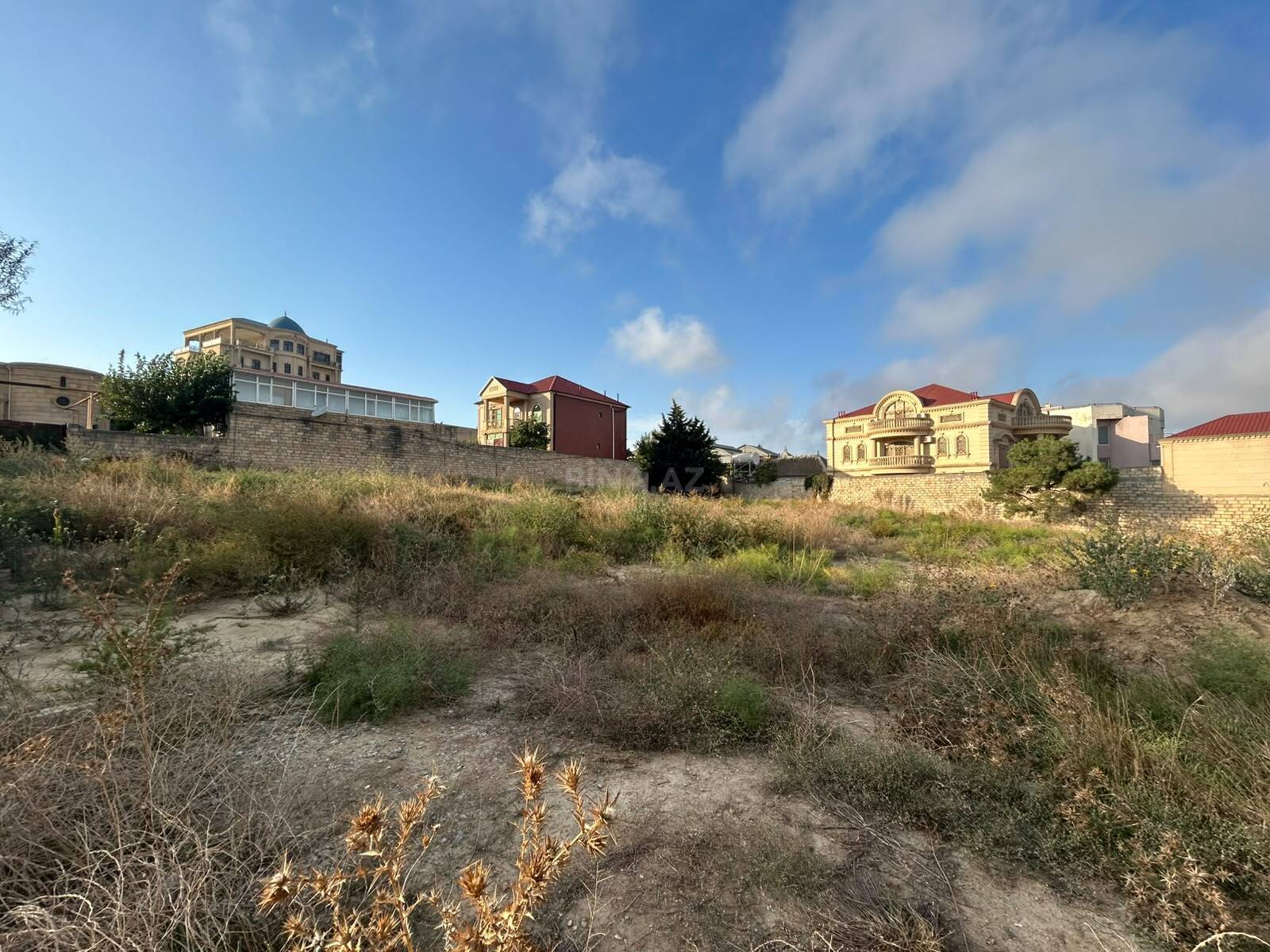 Torpaq Badamdar q., Bakı