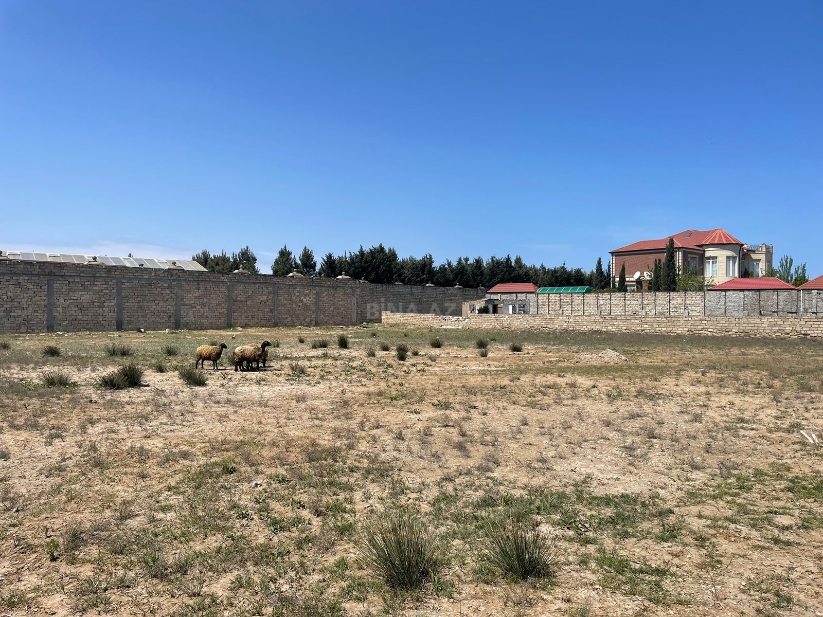 Torpaq Mərdəkan q., Bakı