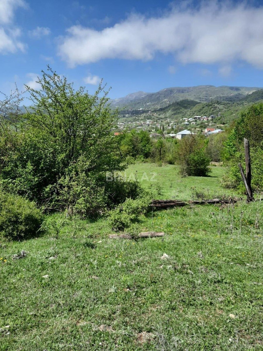 Torpaq Şamaxı
