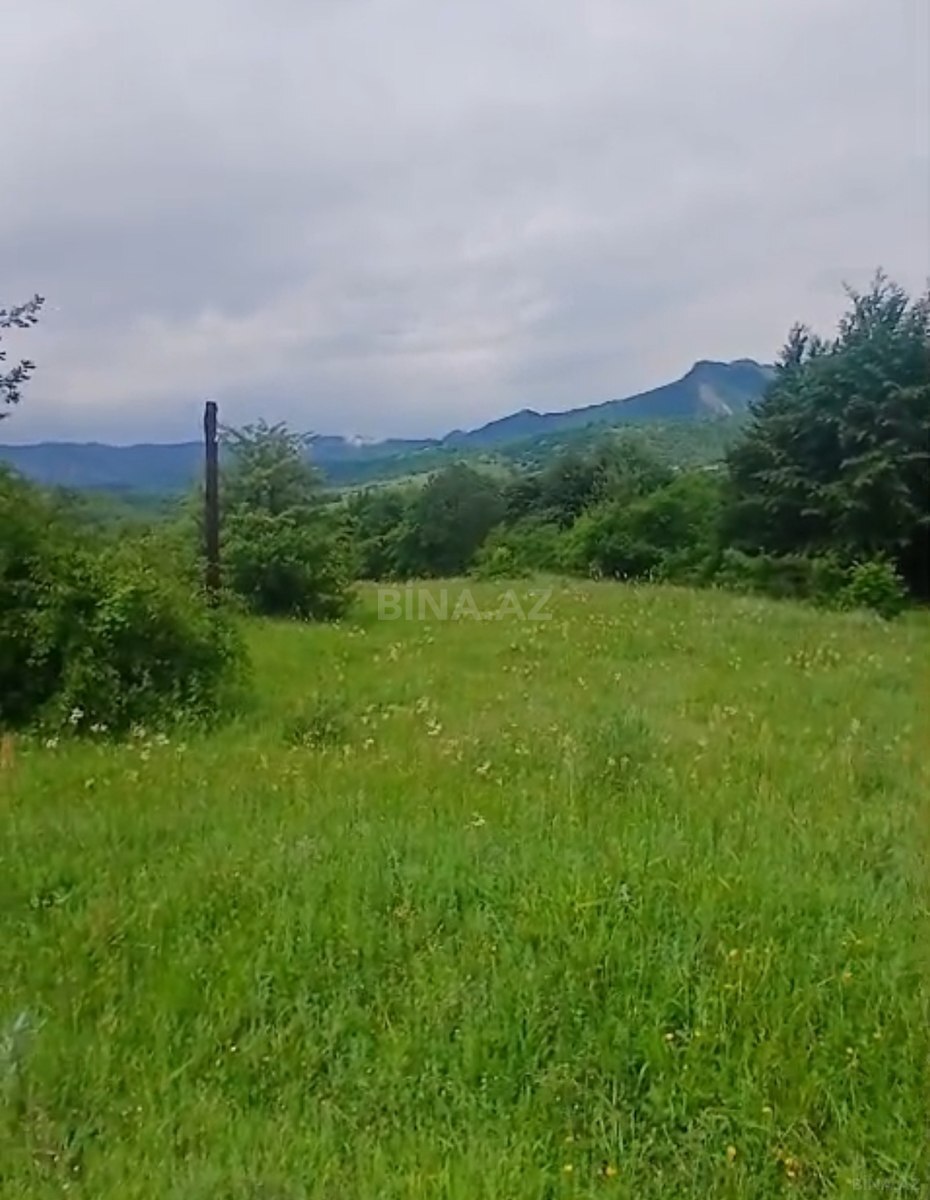 Torpaq Şamaxı
