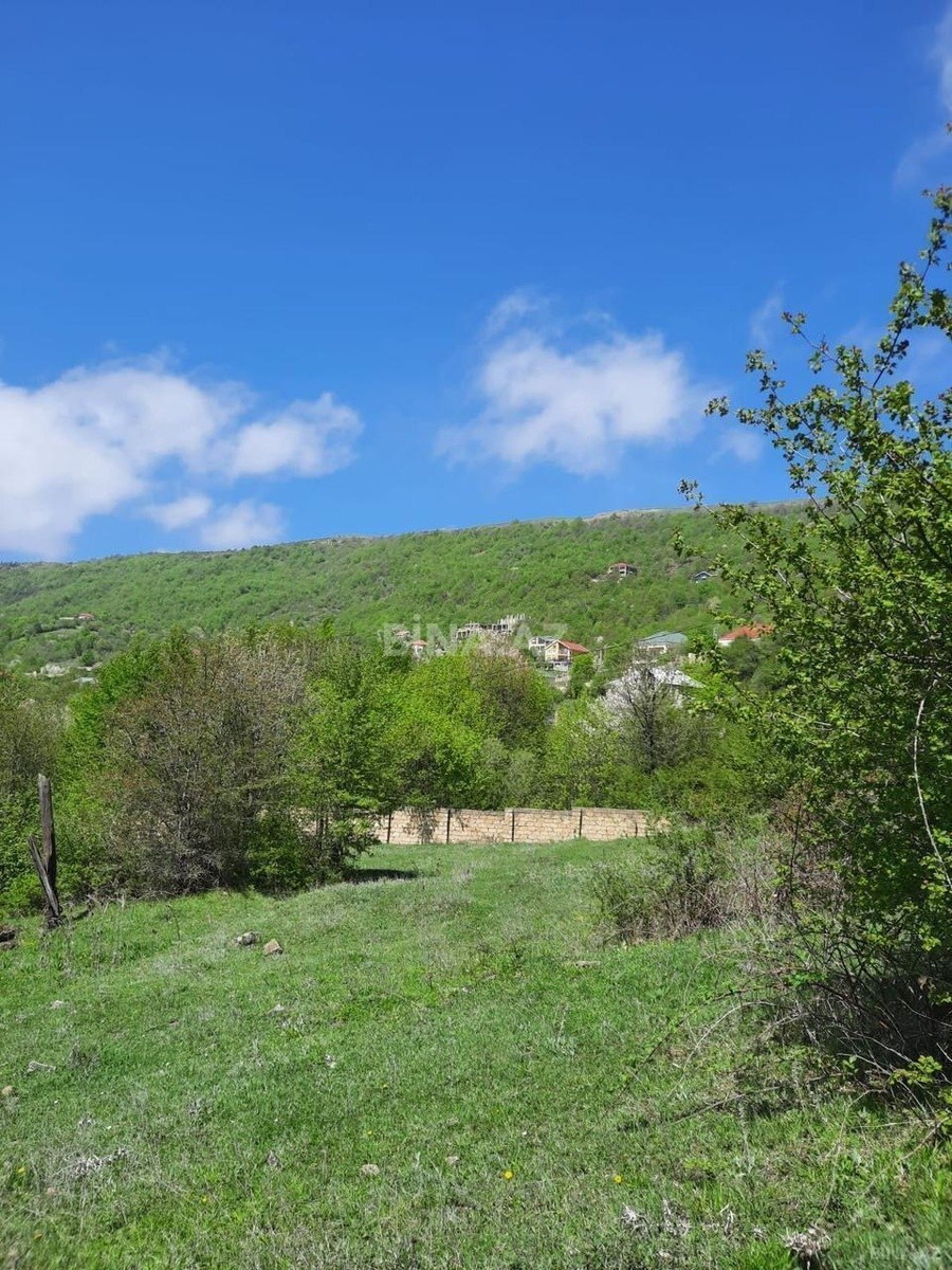 Torpaq Şamaxı