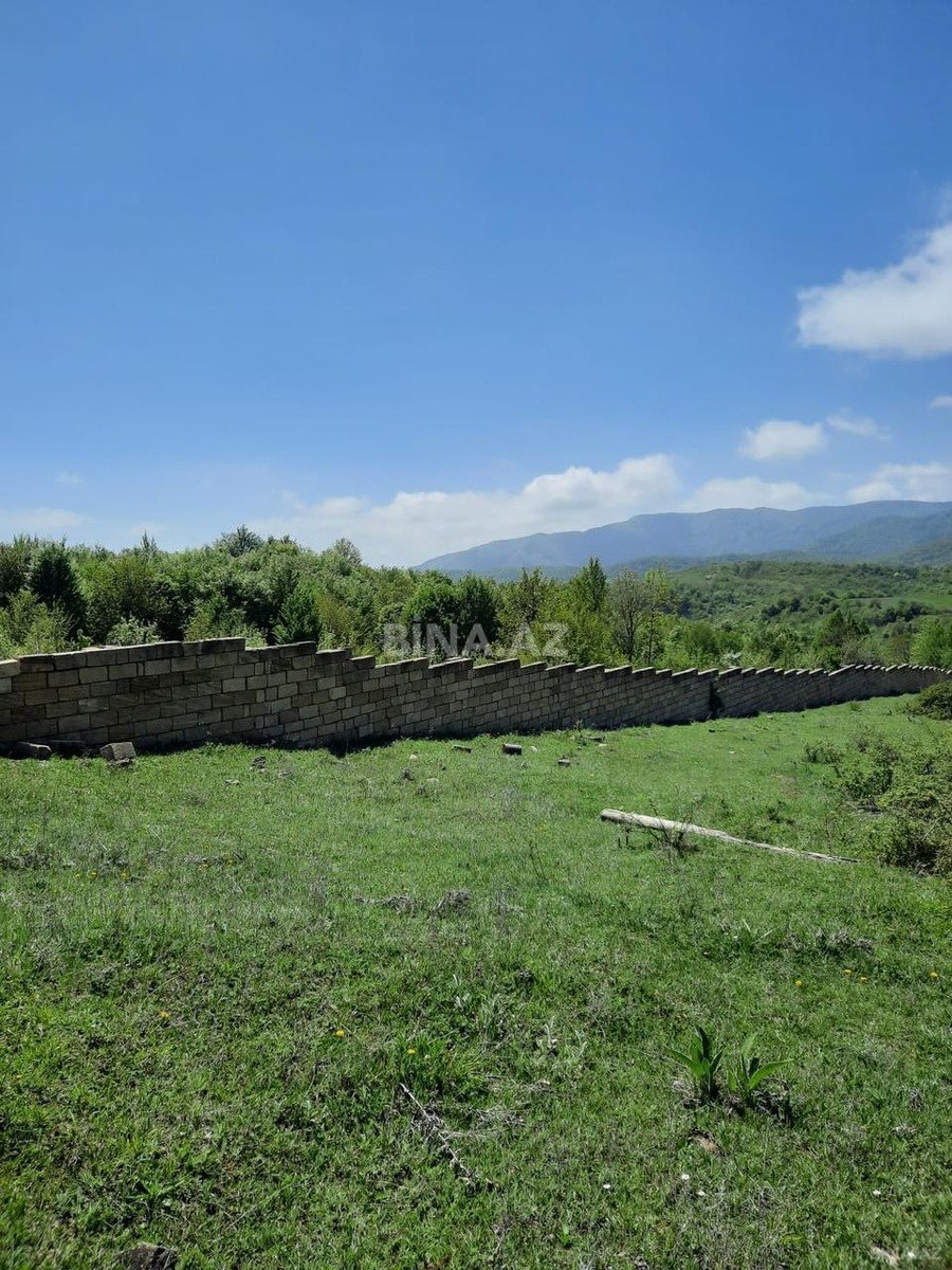 Torpaq Şamaxı