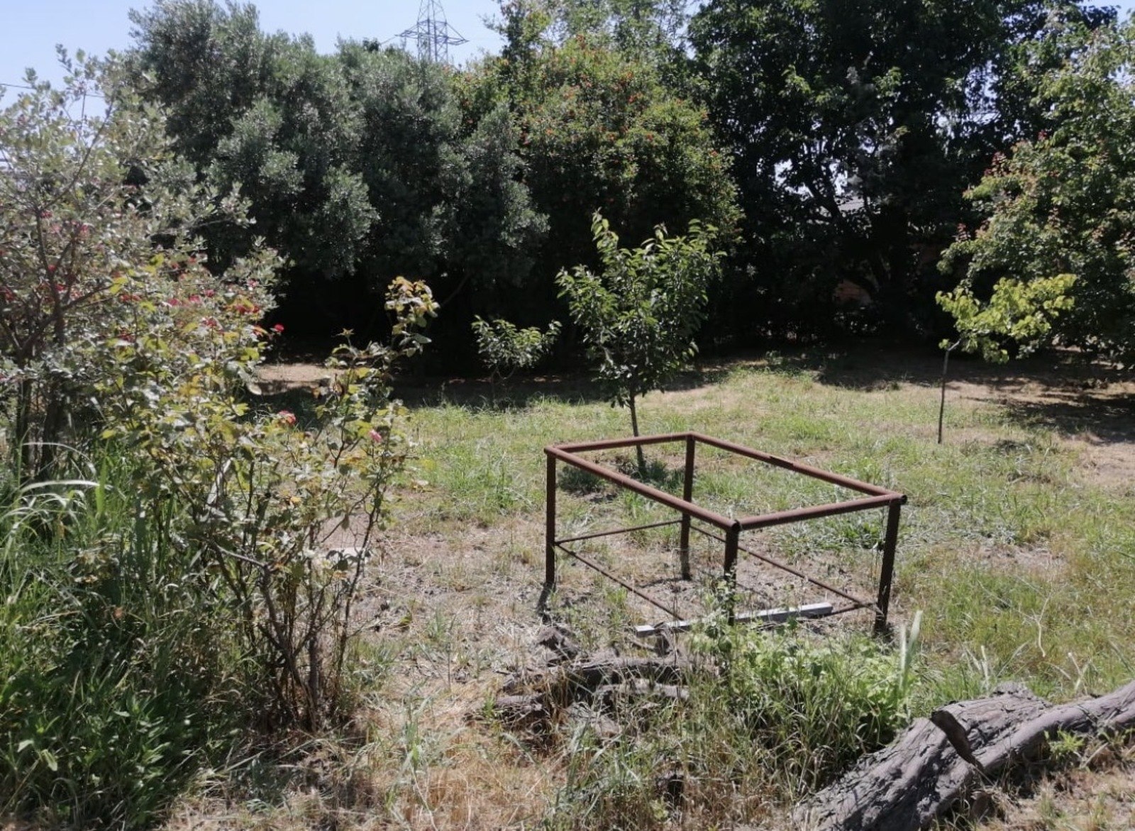 Torpaq Maştağa q., Bakı