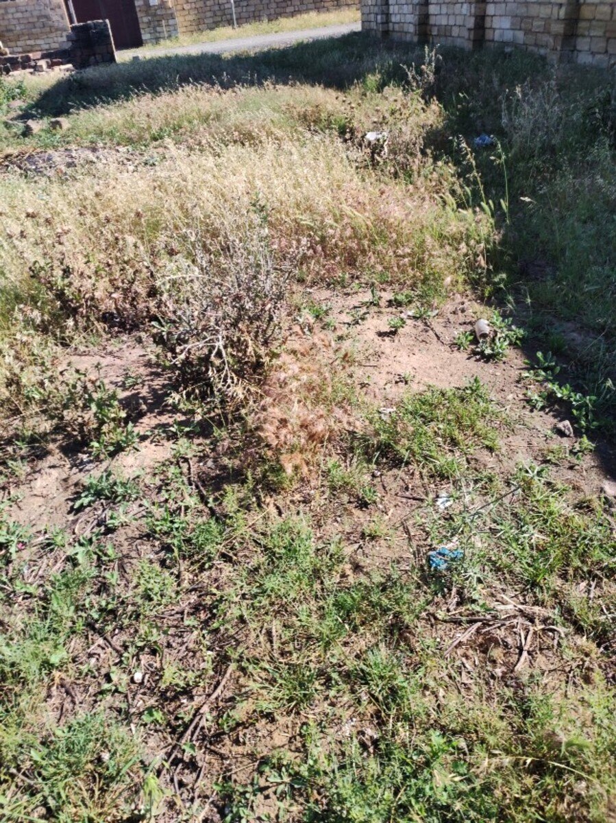 Torpaq Mehdiabad q., Bakı