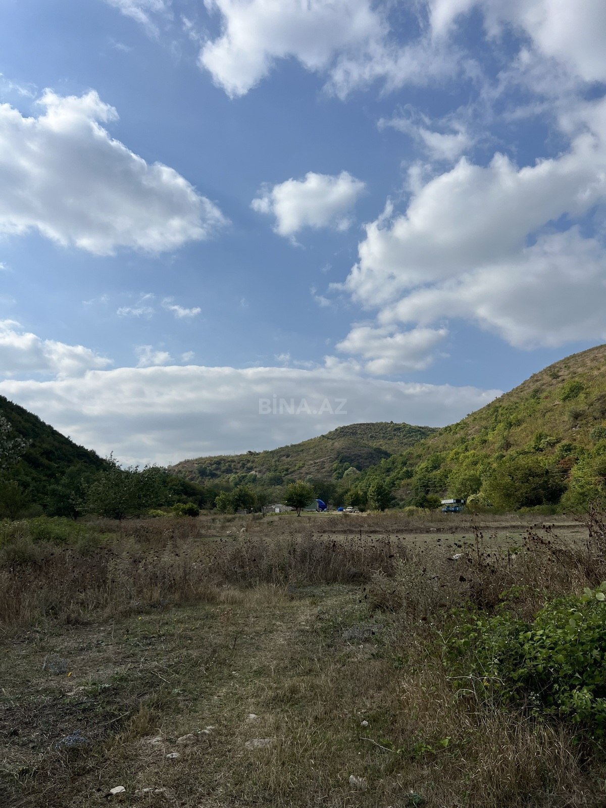 Torpaq Şamaxı