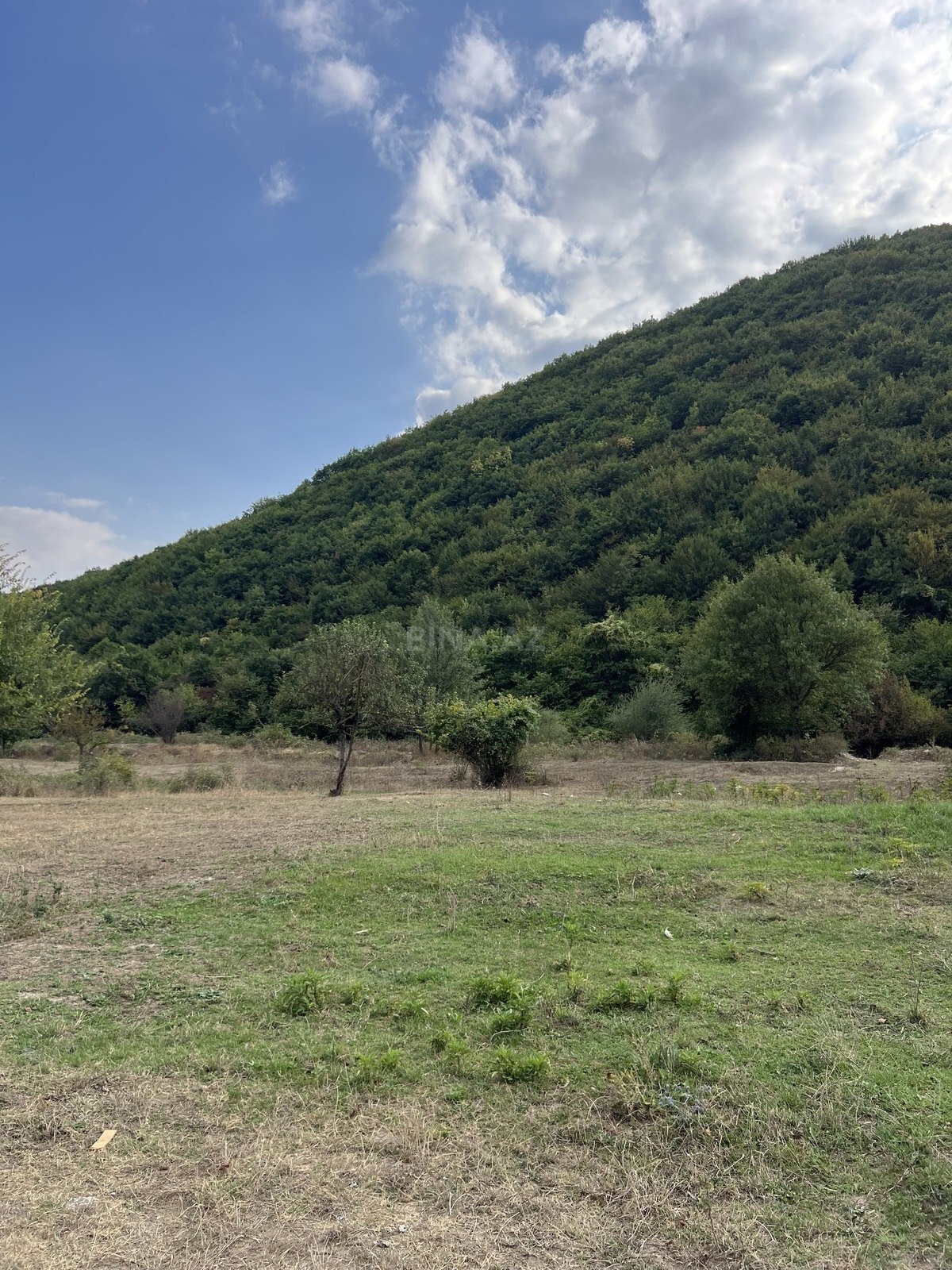 Torpaq Şamaxı
