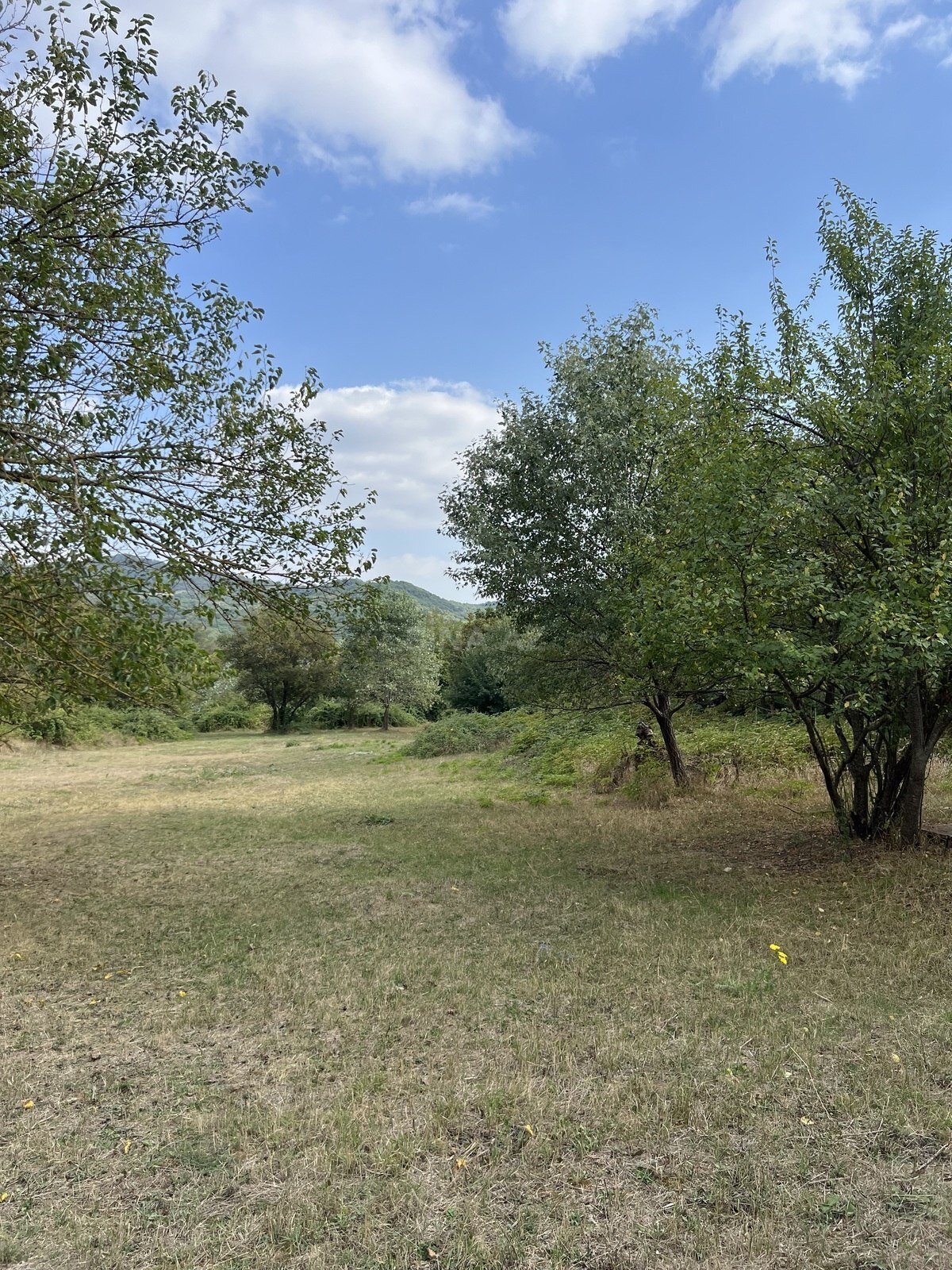 Torpaq Şamaxı