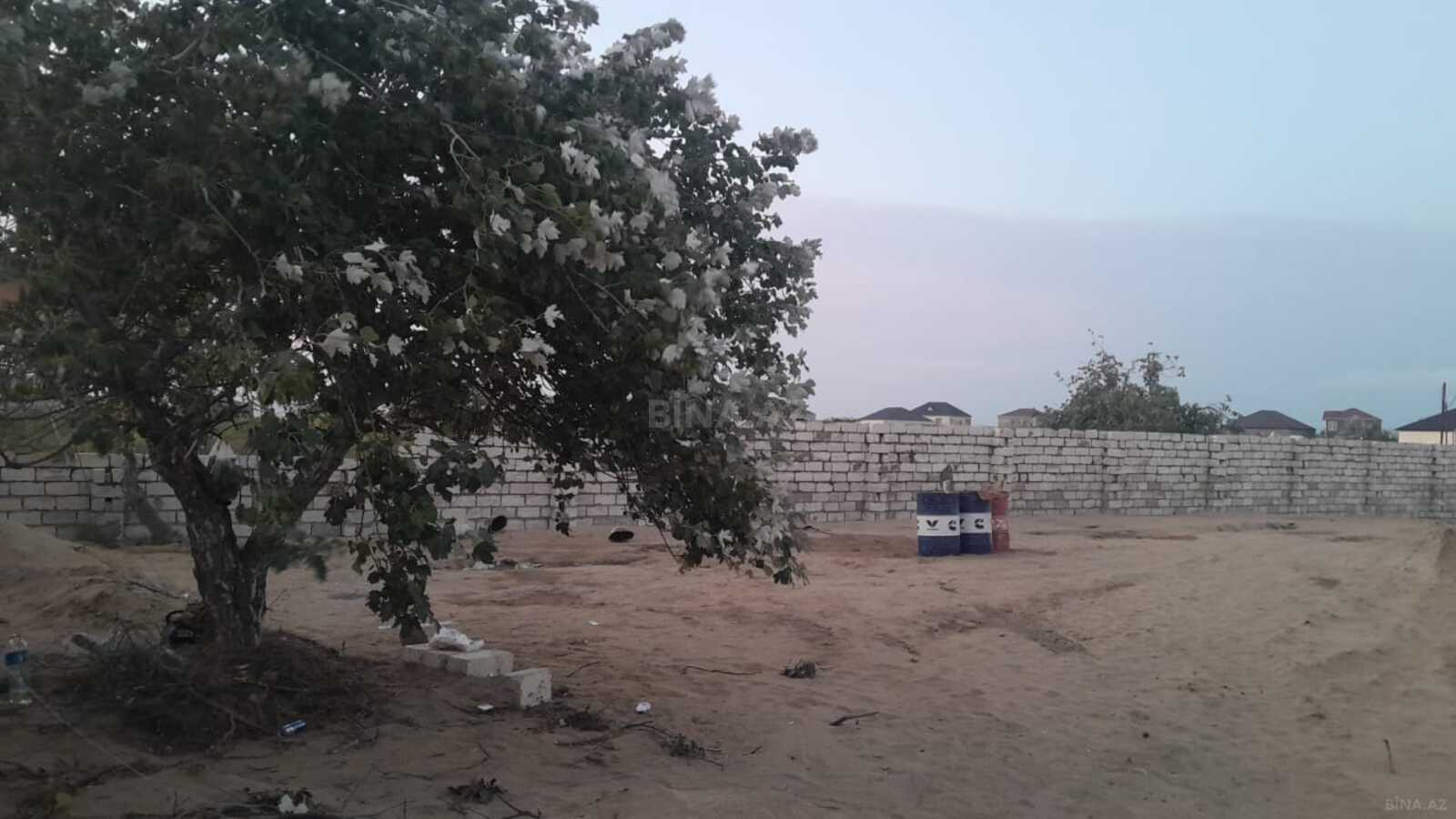 Torpaq satılır, Nardaran, Bakı