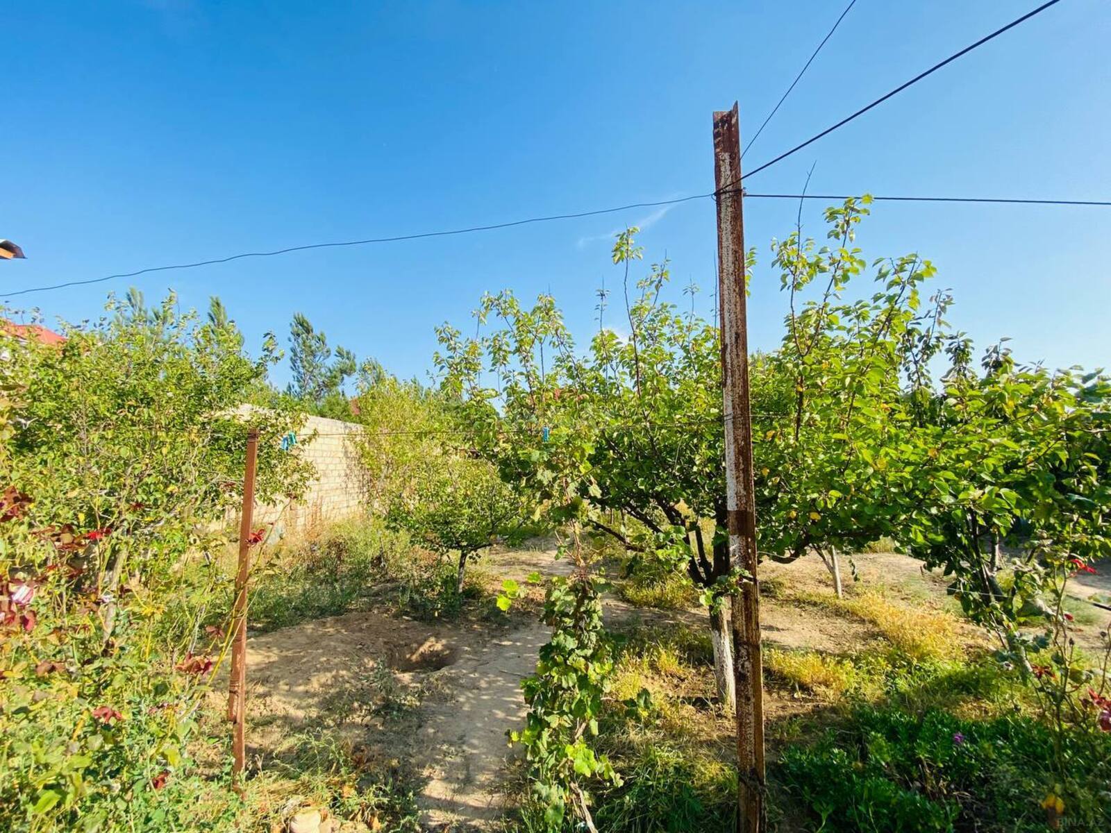 Torpaq Mərdəkan q., Bakı
