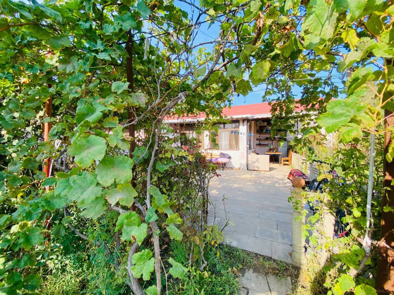 Torpaq Mərdəkan q., Bakı