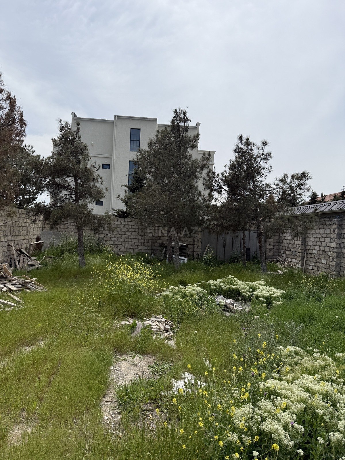 Torpaq Mərdəkan q., Bakı