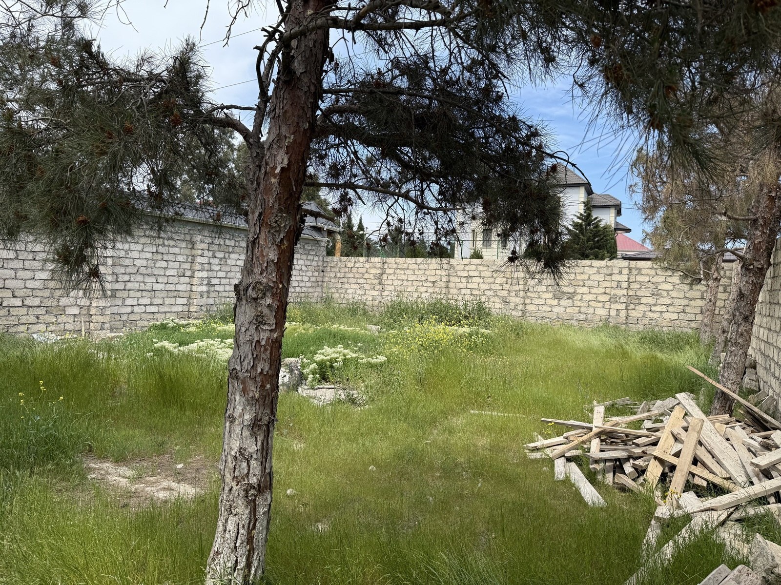 Torpaq Mərdəkan q., Bakı