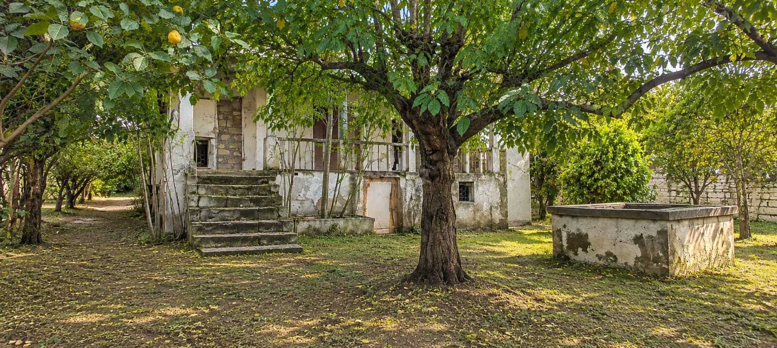 Torpaq Bilgəh q., Bakı