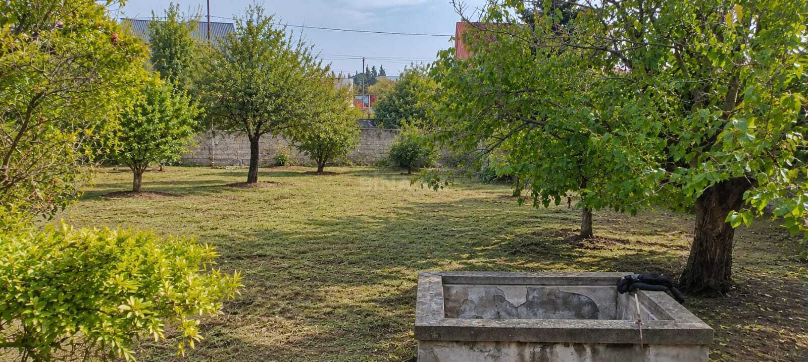 Torpaq Bilgəh q., Bakı
