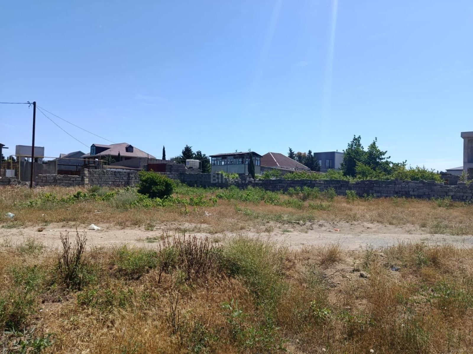 Torpaq Nardaran q., Bakı