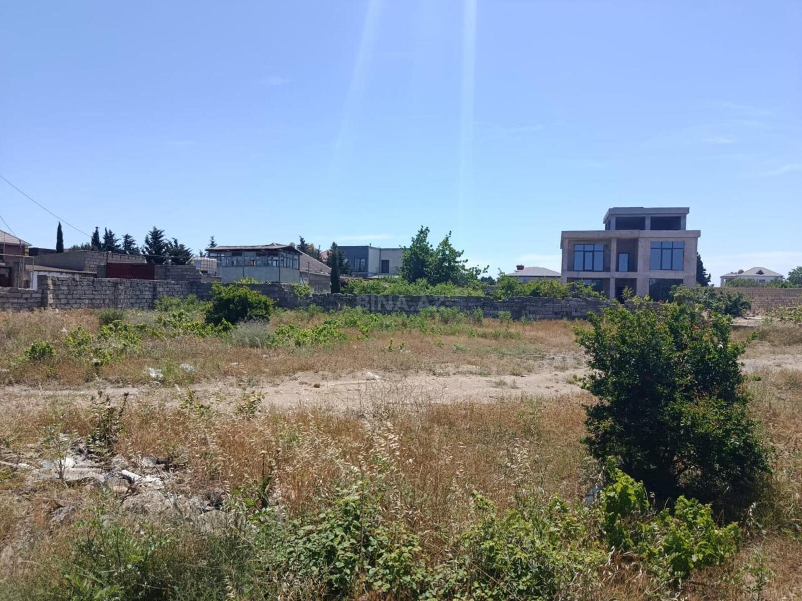 Torpaq Nardaran q., Bakı