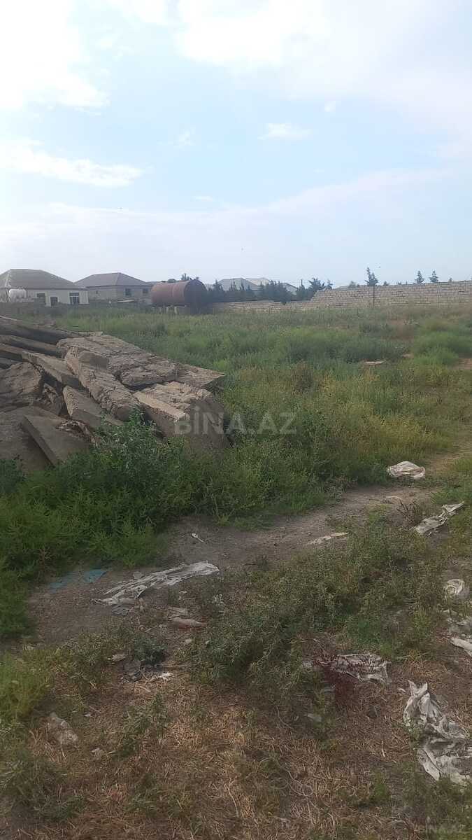 Torpaq Məmmədli q., Bakı