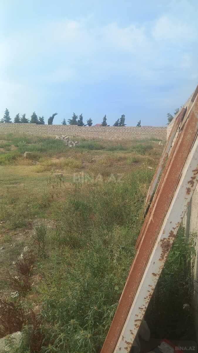 Torpaq Məmmədli q., Bakı