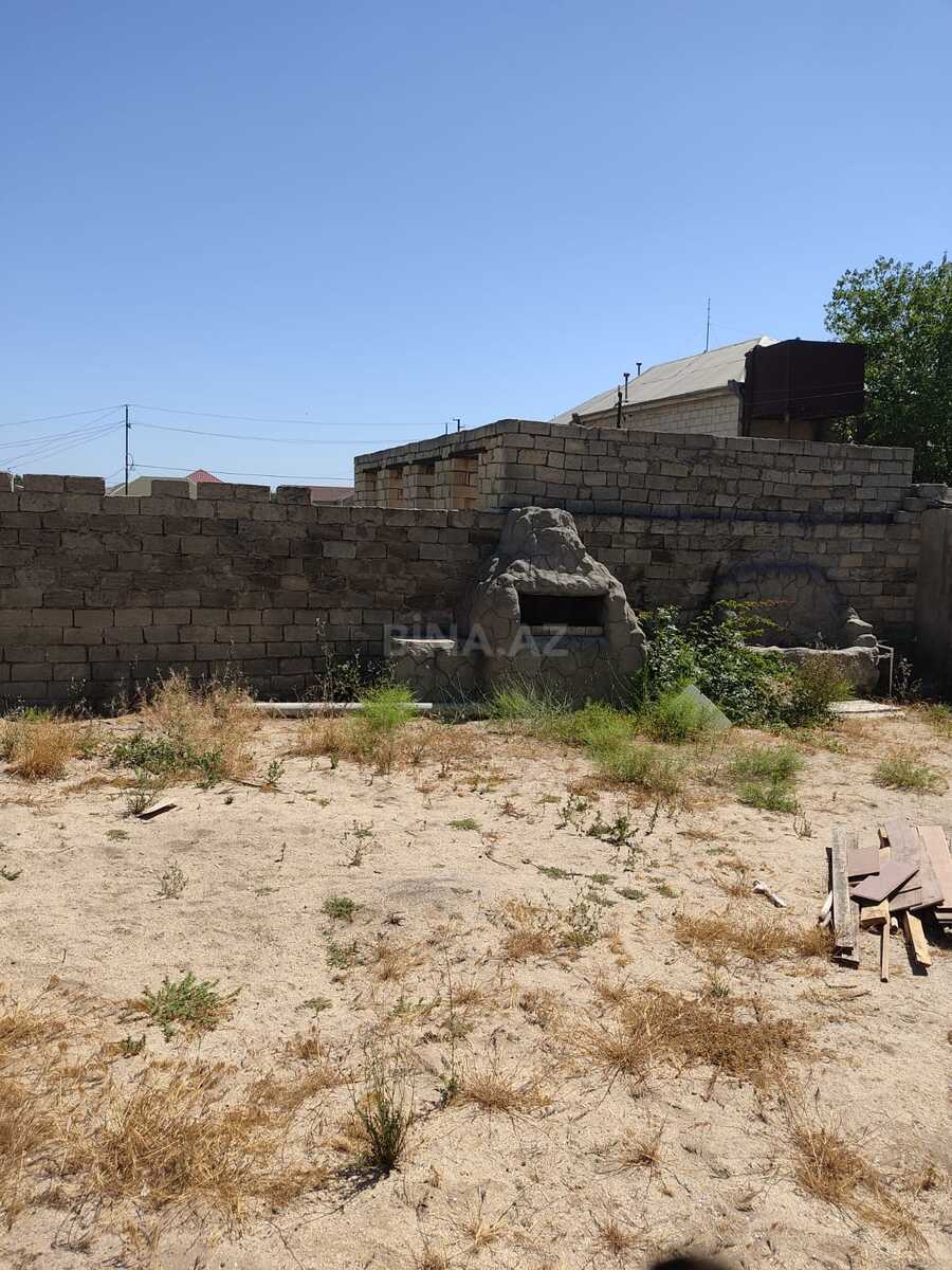 Torpaq Pirşağı q., Bakı