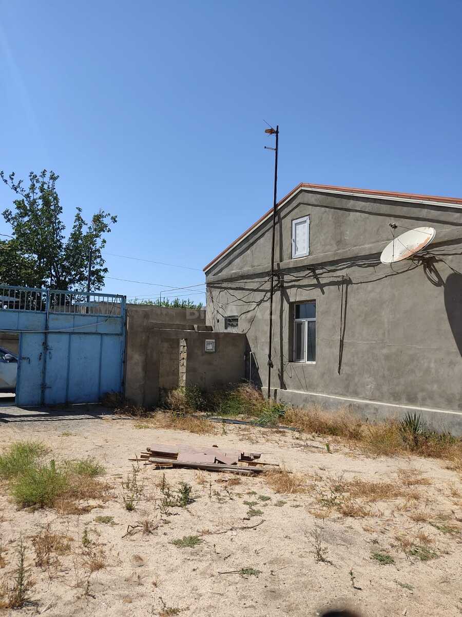 Torpaq Pirşağı q., Bakı