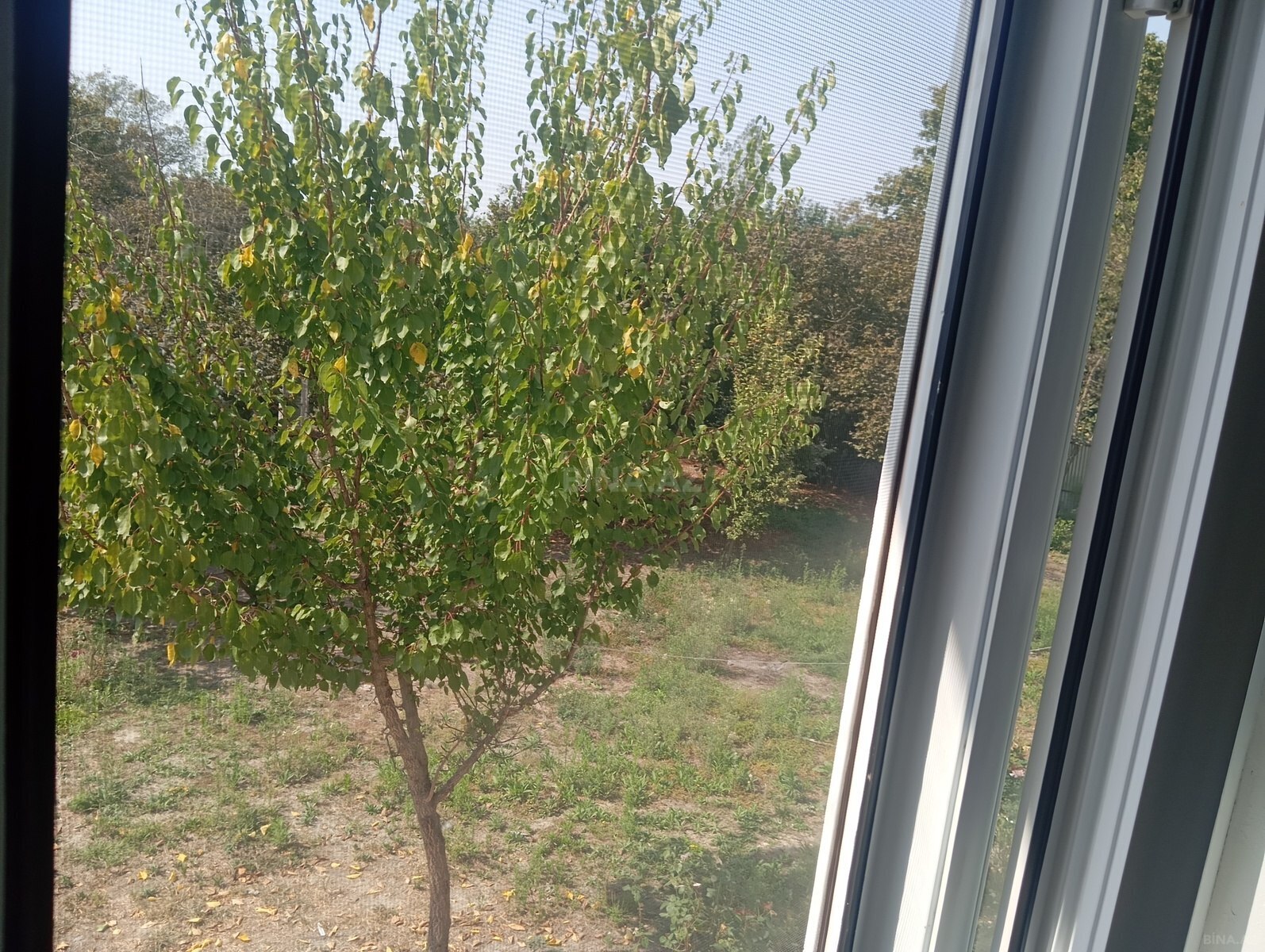 3 otaqlı Həyət evi/Bağ evi, Oğuz