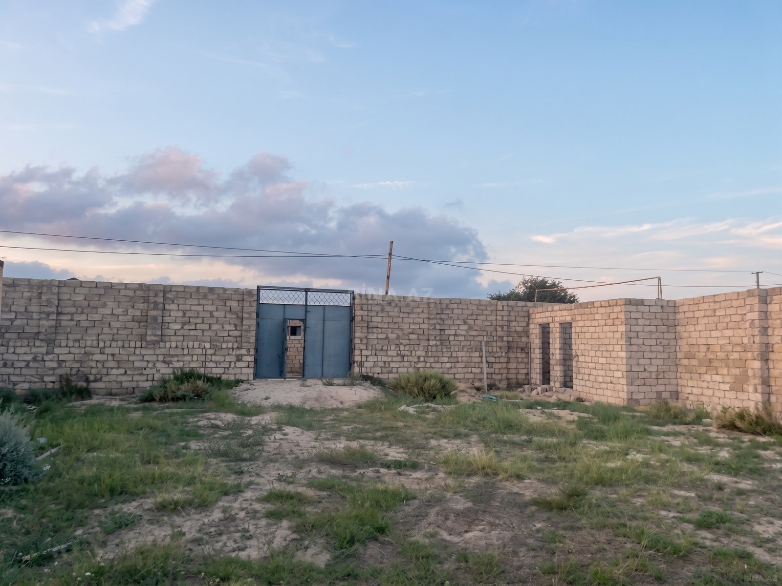Torpaq Buzovna q., Bakı