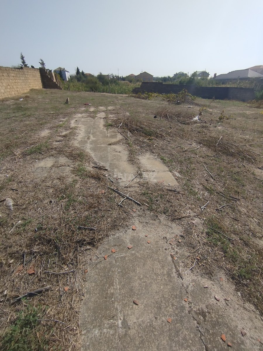Torpaq Novxanı q., Bakı
