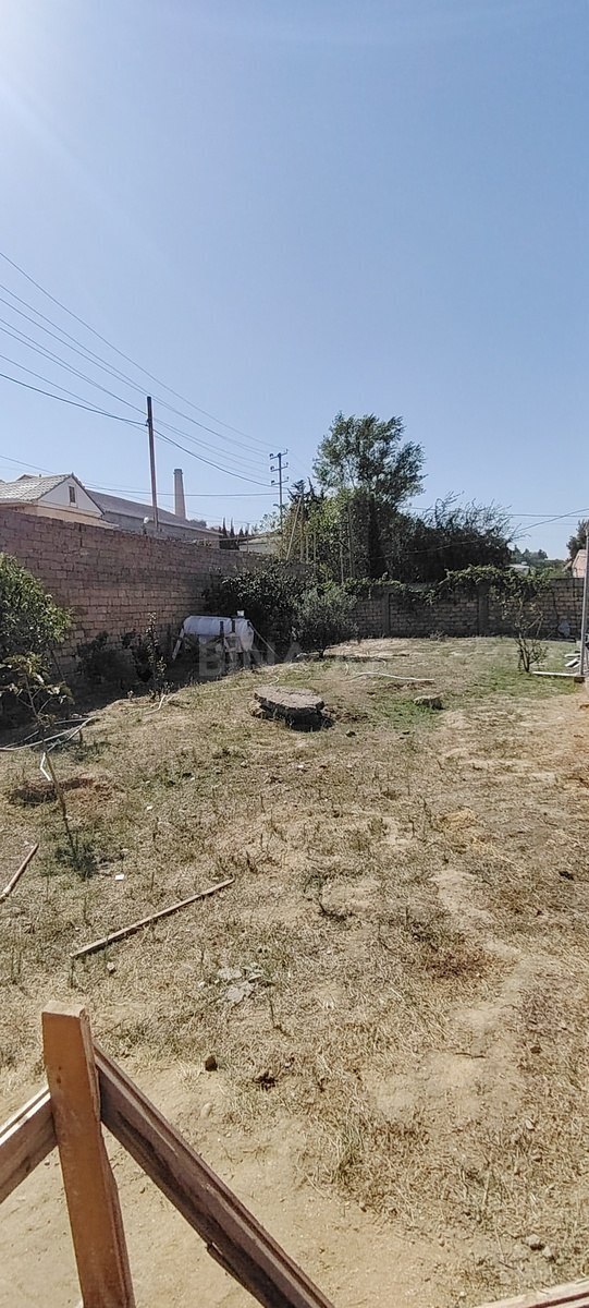 Torpaq Qaraçuxur q., Bakı