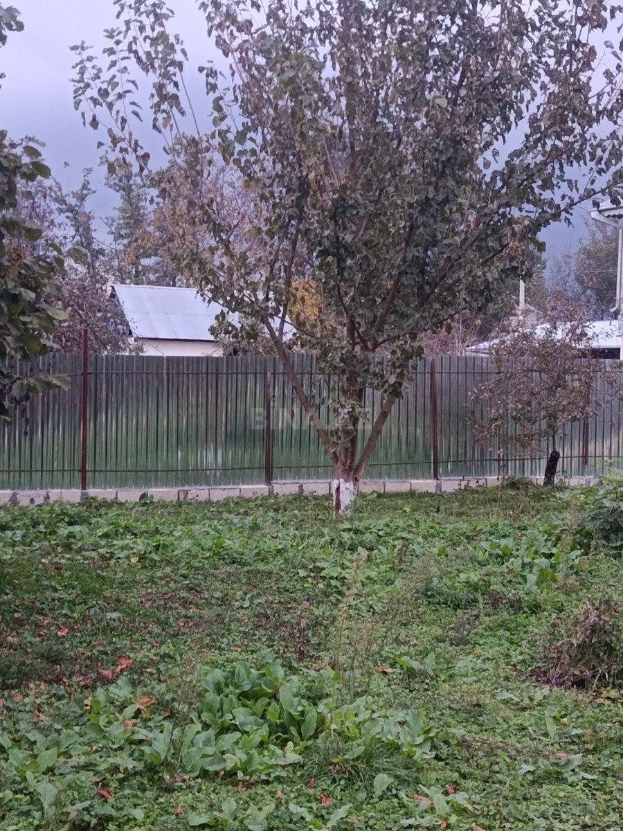 Torpaq İsmayıllı