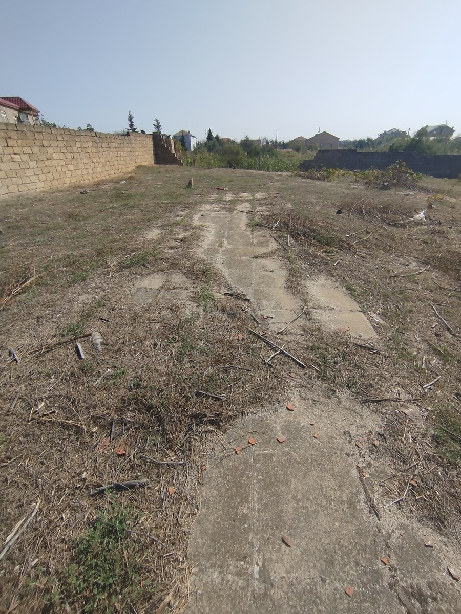 Torpaq Novxanı q., Bakı