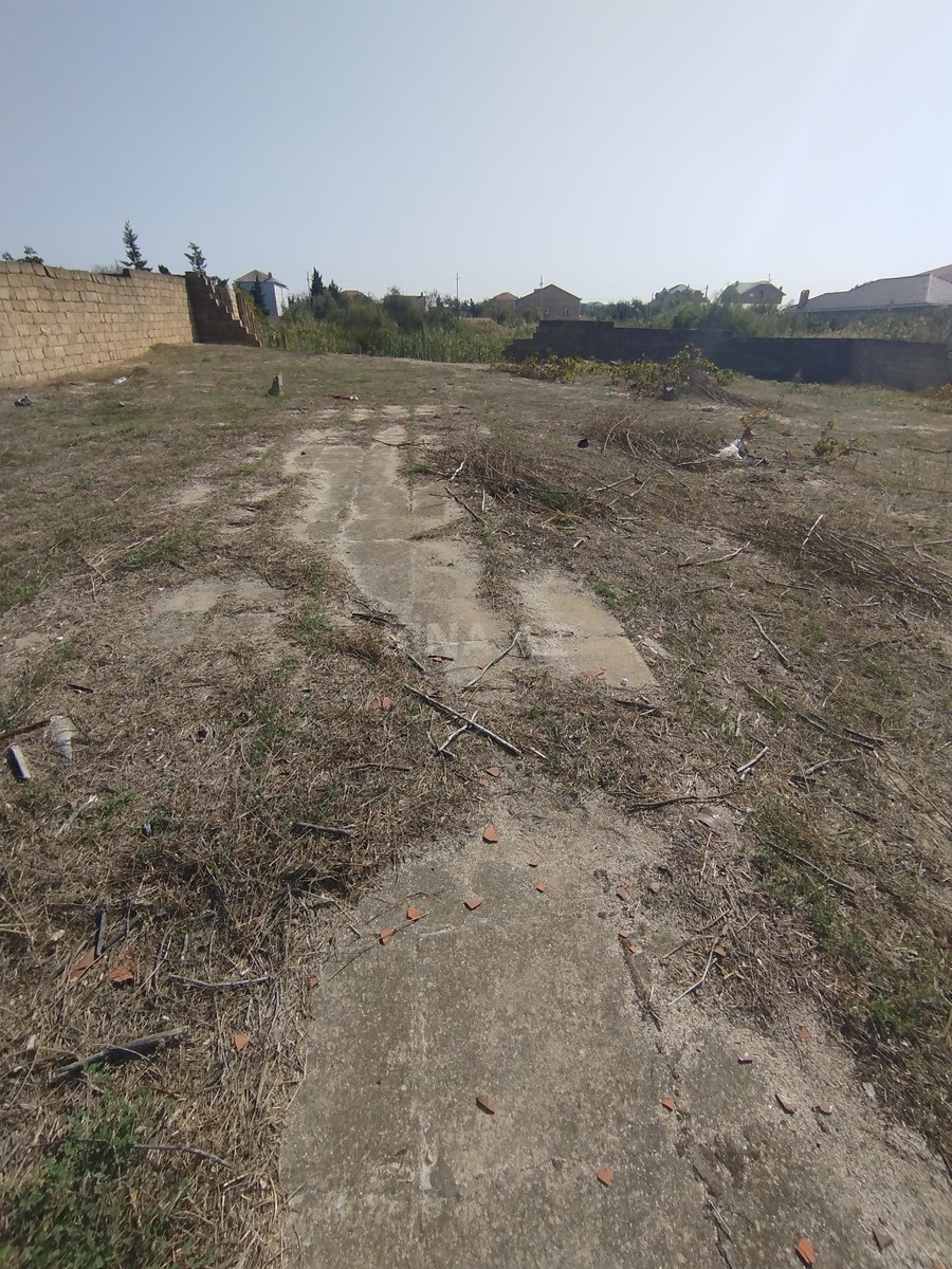 Torpaq Novxanı q., Bakı
