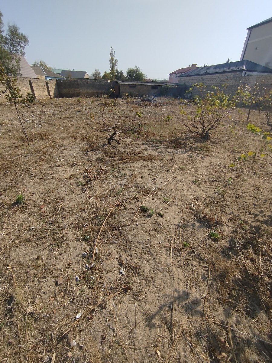 Torpaq Novxanı q., Bakı