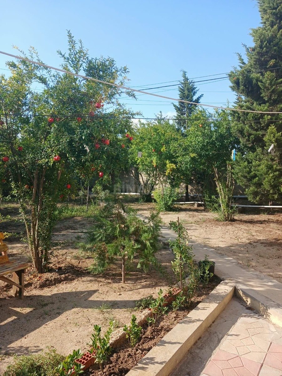 Torpaq Albalılıq q., Bakı