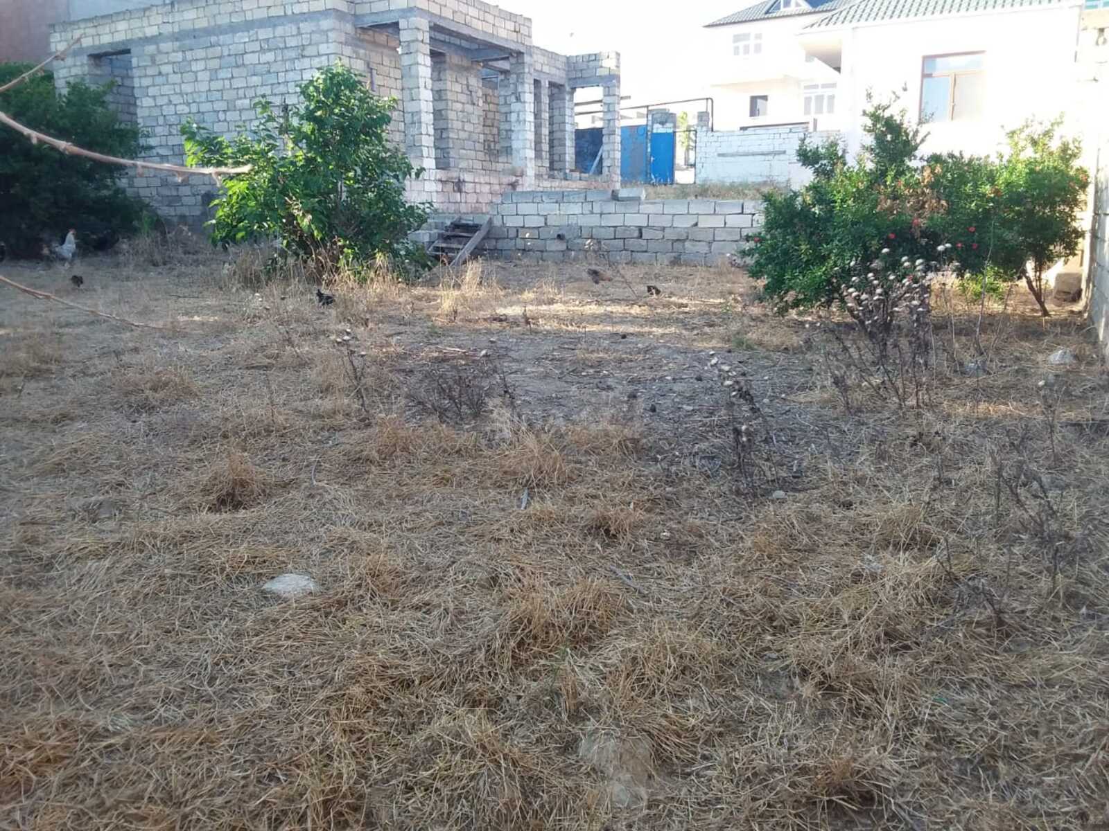 Torpaq Badamdar q., Bakı