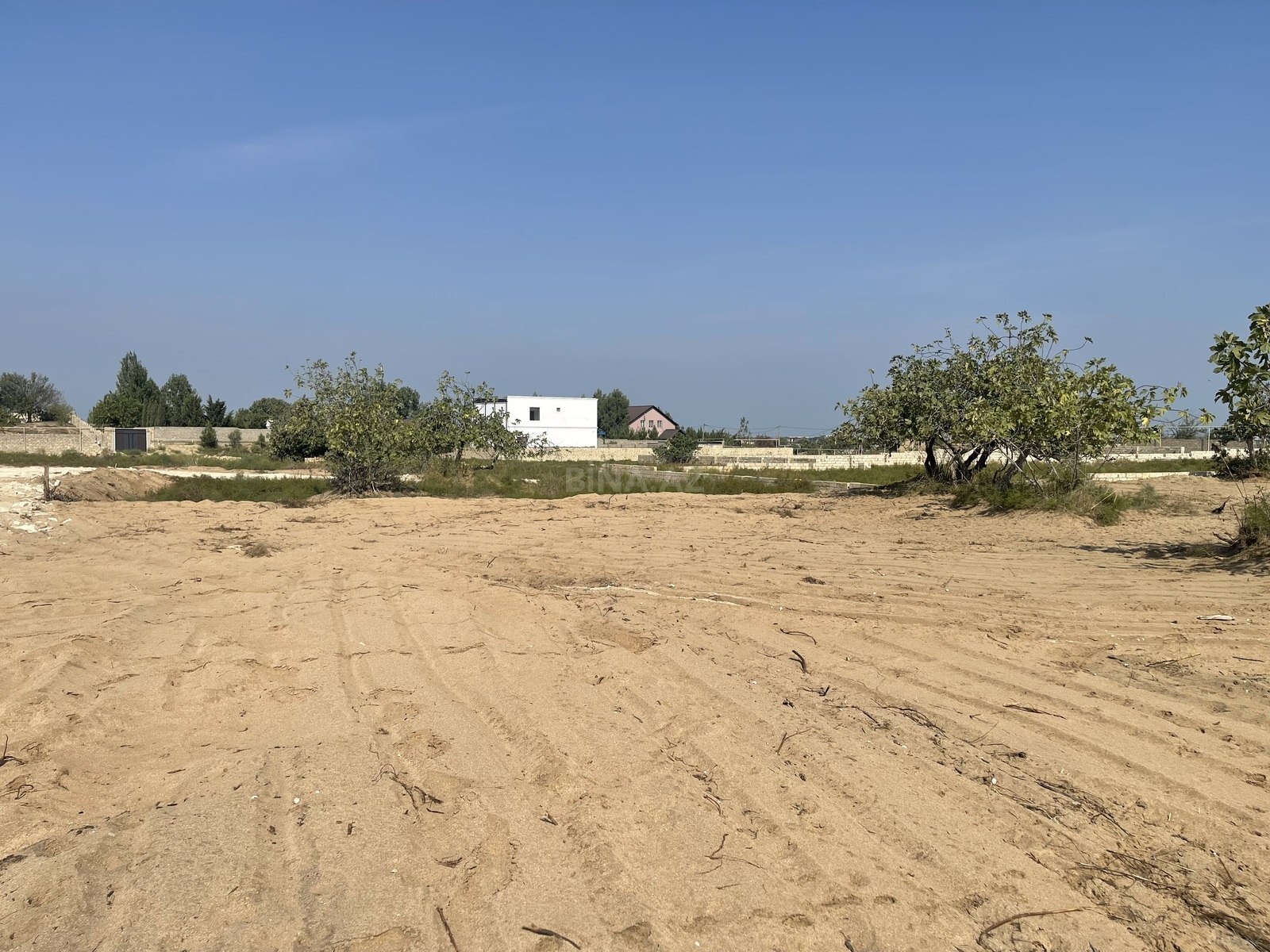 Torpaq Nardaran q., Bakı