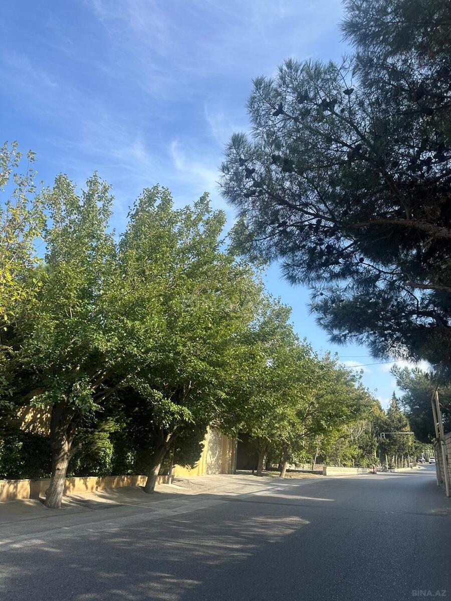 Torpaq Nizami r., Bakı