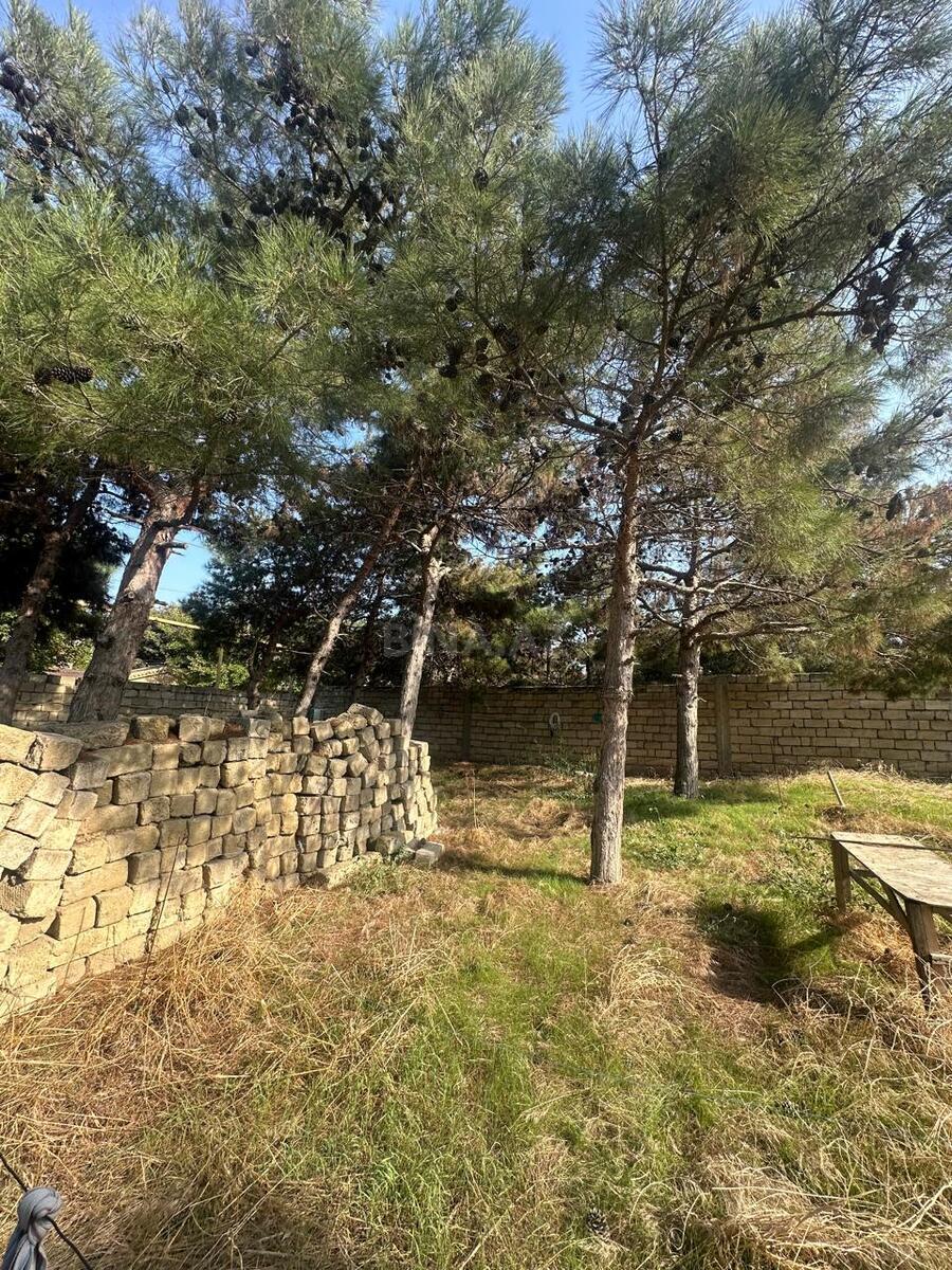 Torpaq Nizami r., Bakı