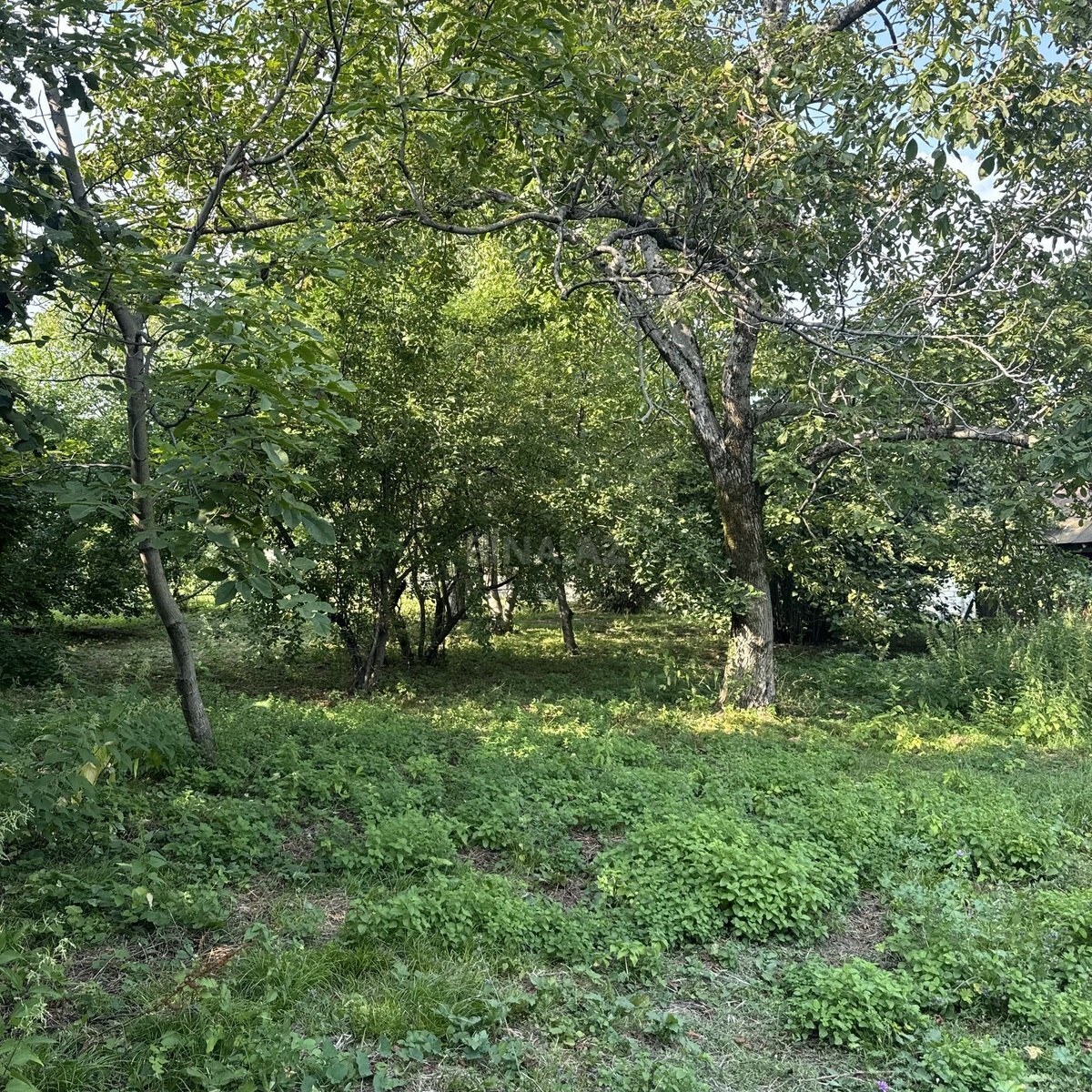 Torpaq Qəbələ