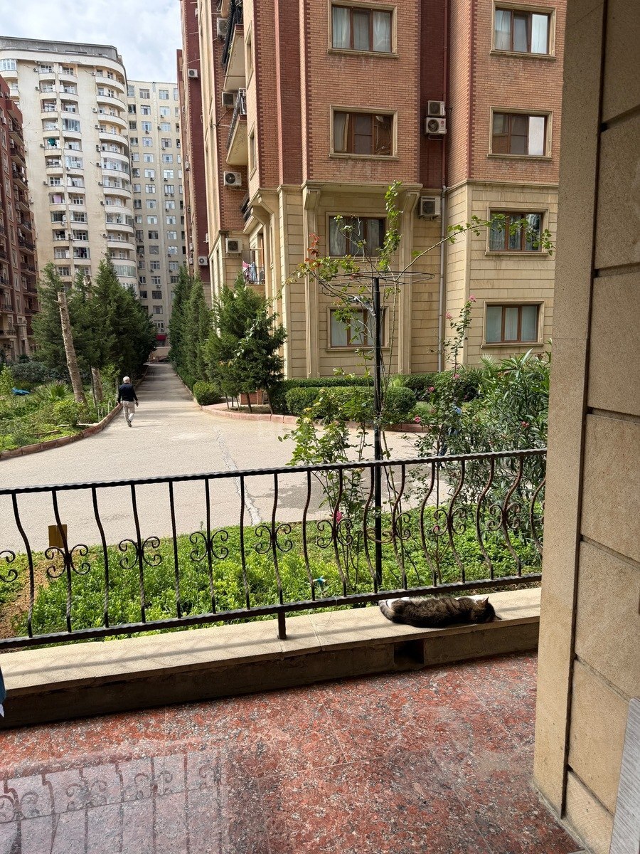 3 otaqlı, 163.3 m², Gənclik