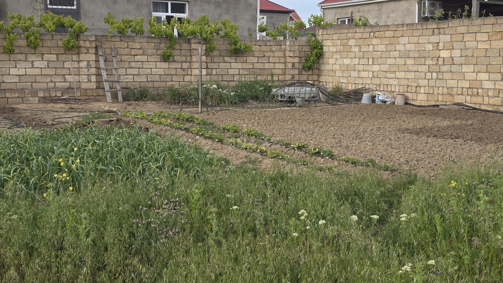 Land for sale, Mehdiabad, Absheron
