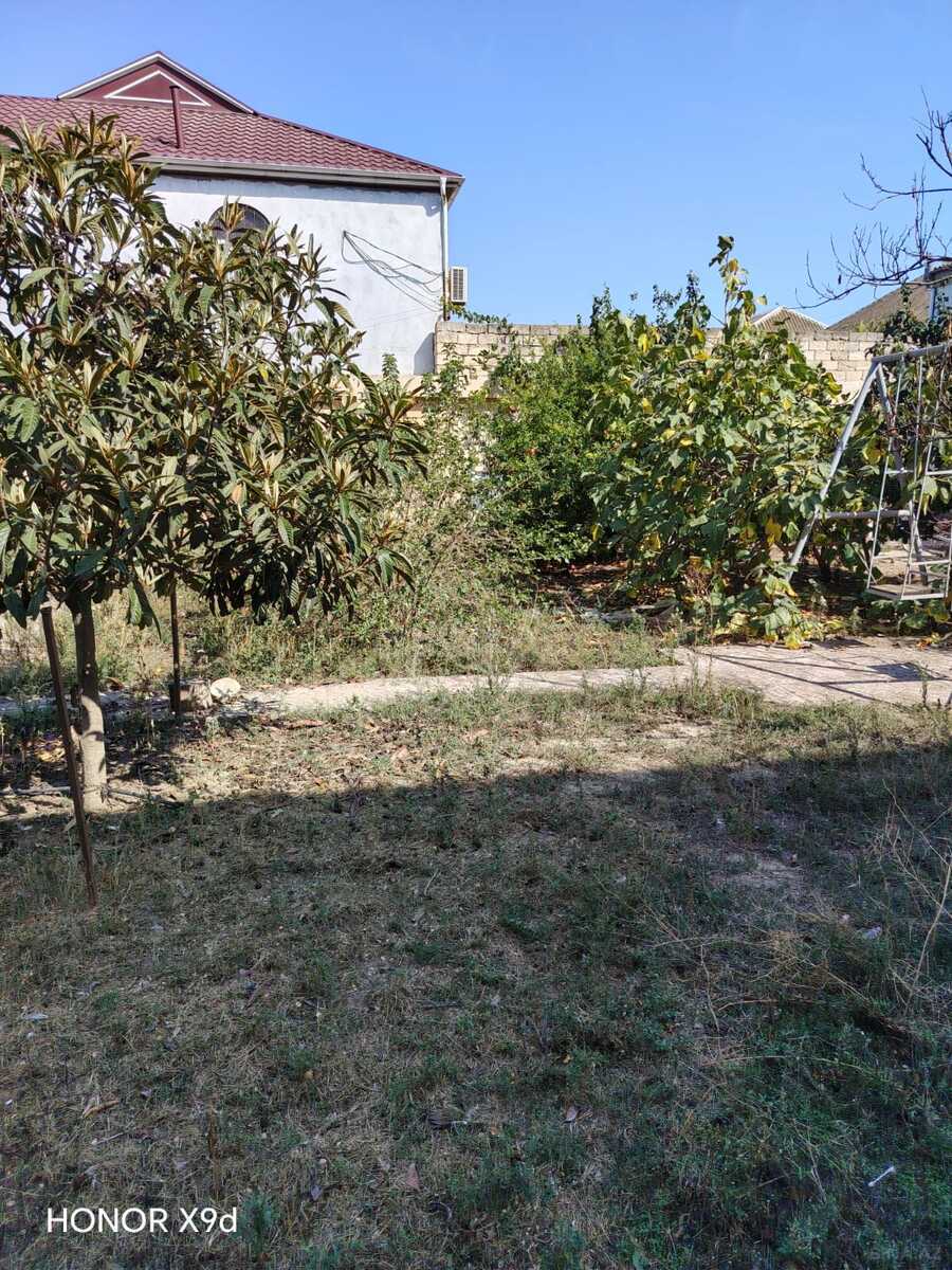 Torpaq Məmmədli q., Bakı