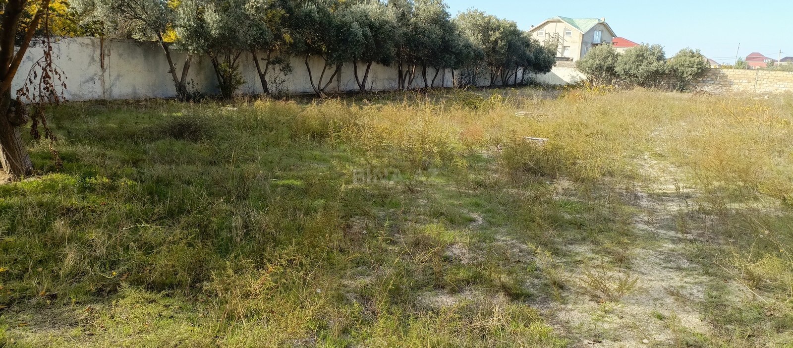 Torpaq Novxanı q., Bakı