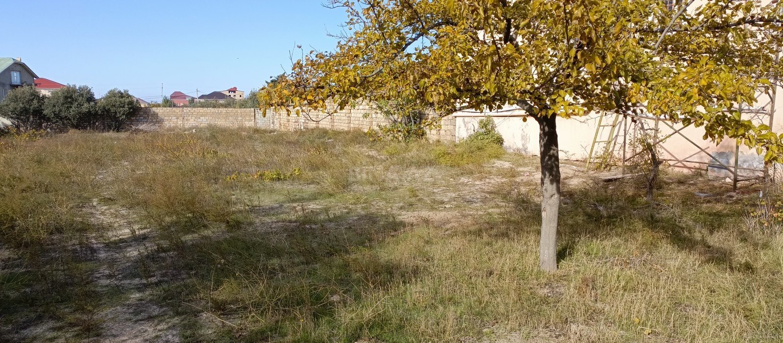 Torpaq Novxanı q., Bakı