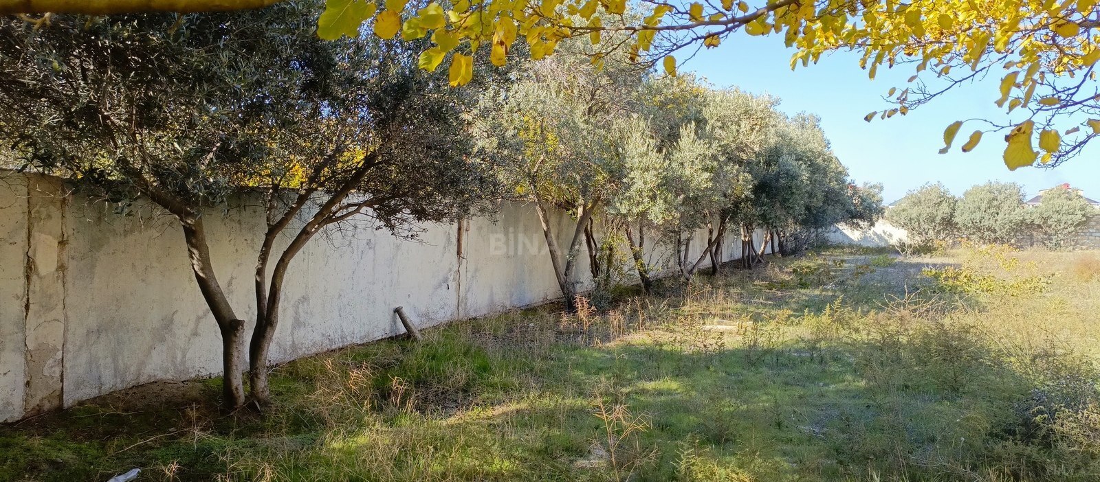 Torpaq Novxanı q., Bakı