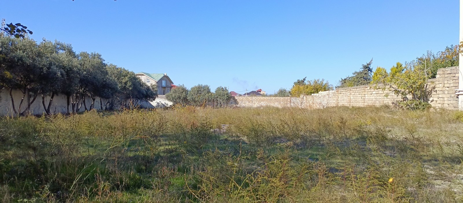 Torpaq Novxanı q., Bakı