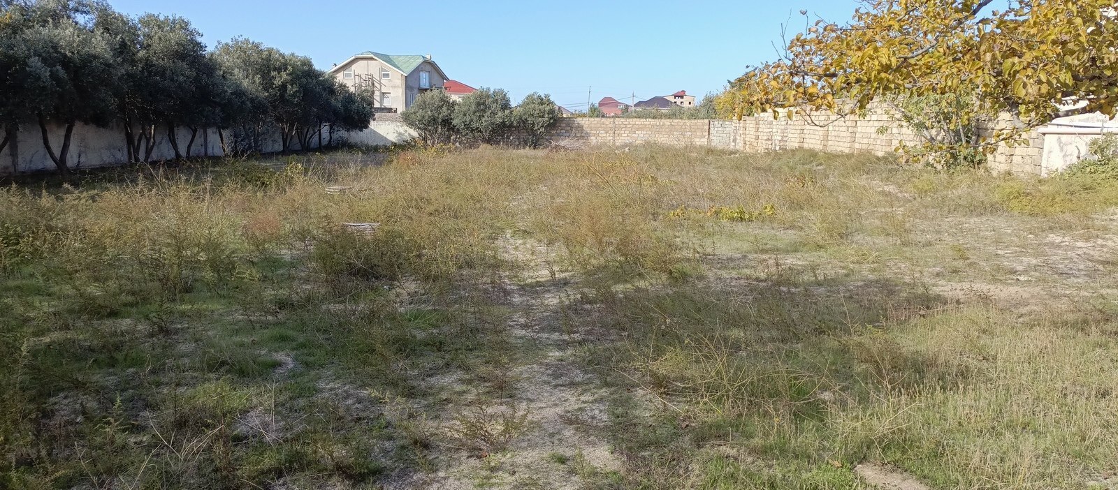 Torpaq Novxanı q., Bakı